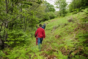 Autumn festivities and events in Extremadura