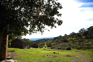 B_VILLB_REAL_SAN_CARLOS_08