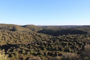 Santa Marta de Magasca