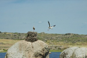 B_ZEPA_CHARCA_ARCE_ABAJO_05