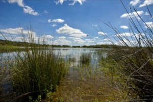 Charca La Vega Del Machal Special Protection Area (SPA) for Birds