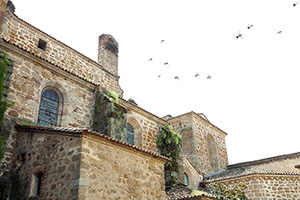 Plasencia and El Cachón Lesser Kestrel Colonies SPA
