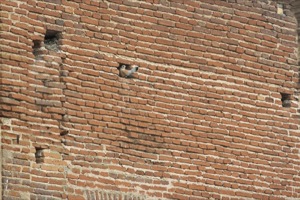 B_ZEPA_JEREZ_CABALLEROS_02