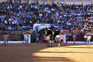 B_FERIA-DE-OLIVENZA_01