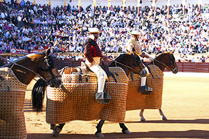 B_FERIA-DE-OLIVENZA_02