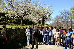 B_CEREZOS-EN-FLOR-RUTA-08