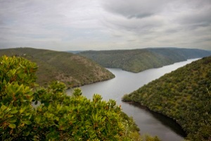 Mes de las Reservas de la Biosfera de Cáceres: Monfragüe y Tajo Internacional