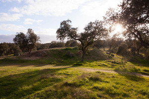 B_DOLMEN_DE_LACARA_11