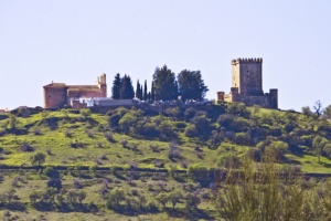 Nogales Castle