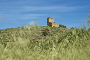 Torrecilla de Lagartera Castle