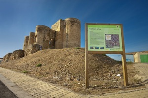 Villalba de los Barros Castle