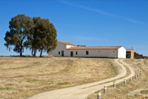 B_RUINAS_CACERES_VIEJO_06