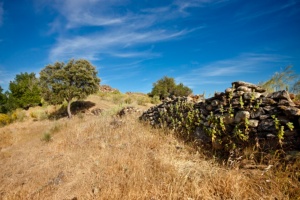 Yacimiento arqueológico de Albalat